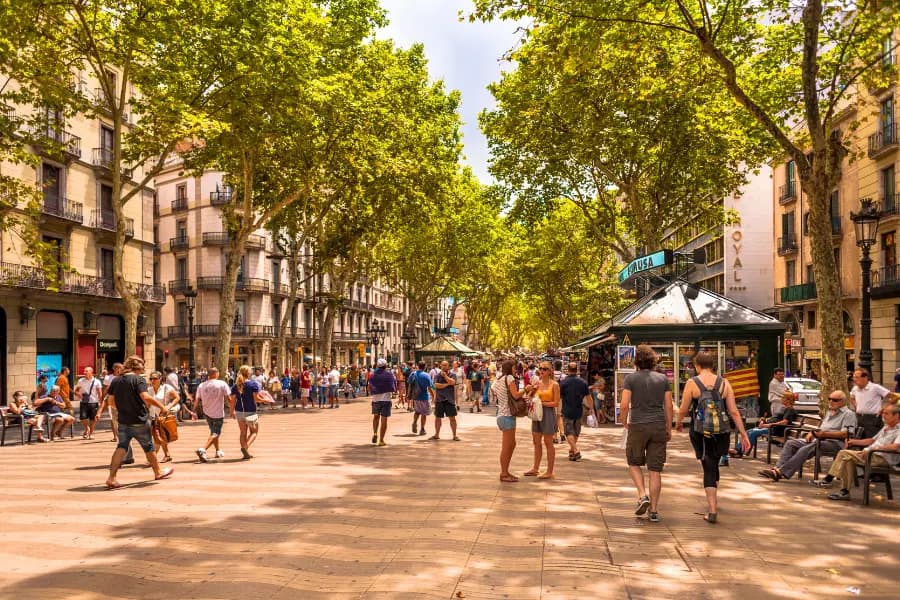 Barcelona made to measure